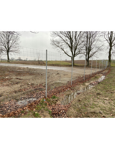 Siatka ogrodzeniowa leśna 180/20/30 L 50 m +gratis Siatmet - 4